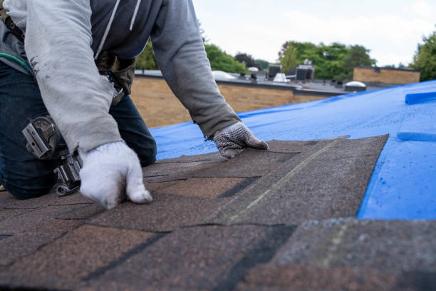 Best Flat Roof Repair Services  in Cottonwood, MN