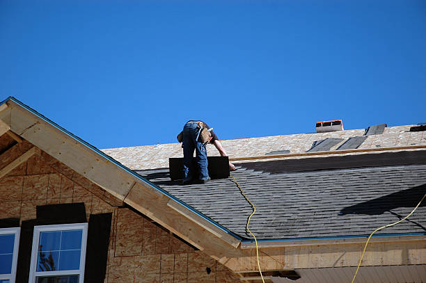 Best Roof Gutter Cleaning  in Cottonwood, MN