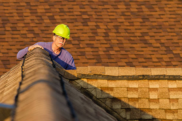 Best Roof Gutter Cleaning  in Cottonwood, MN